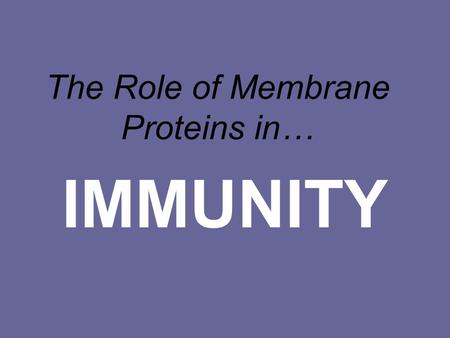 The Role of Membrane Proteins in… IMMUNITY. What is an antigen? An ANTIGEN is anything that stimulates the production of antibodies by the immune system.