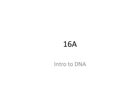 16A Intro to DNA. Science as a process What was the genetic material? At the time, most scientists believed it was protein.