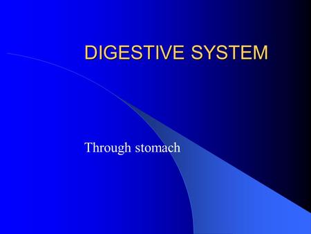 DIGESTIVE SYSTEM Through stomach. Overall Digestive Process Ingestion Movement Digestion (mechanical & chemical) Absorption (into blood/lymph vessels)