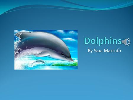 By Sara Marrufo Body Dolphins are sea animals. There body can get up to 30 feet long. Dolphins use there tail flukes up and down to swim. Dolphins use.