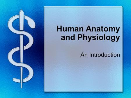 Human Anatomy and Physiology An Introduction. What is the difference? Anatomy = The study of body structures Physiology studies their functions What are.