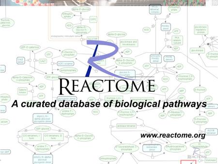 Www.reactome.org A curated database of biological pathways.
