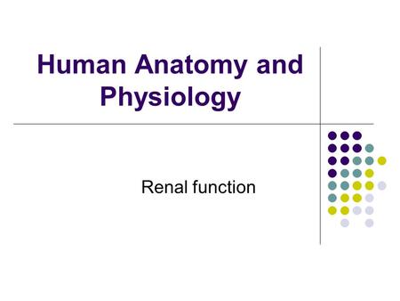 Human Anatomy and Physiology Renal function. Functions Regulation of water and electrolytes Maintain plasma volume Acid-base balance Eliminate metabolic.