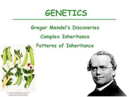 GENETICS Gregor Mendel’s Discoveries Complex Inheritance Patterns of Inheritance.