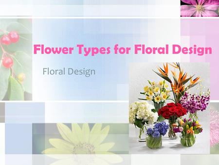 Flower Types for Floral Design