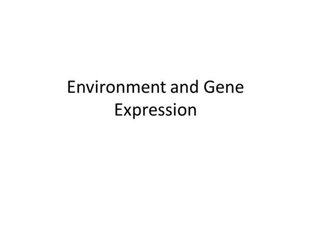 Environment and Gene Expression. Gene Expression The genetic make up of an organism is determined at fertilization. However, the external environment.
