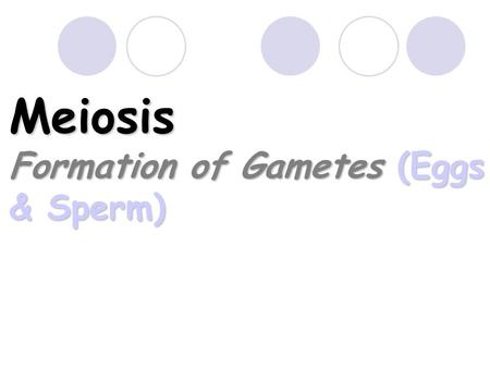 Meiosis Formation of Gametes (Eggs & Sperm). Facts About Meiosis Preceded by interphase which includes replication Preceded by interphase which includes.