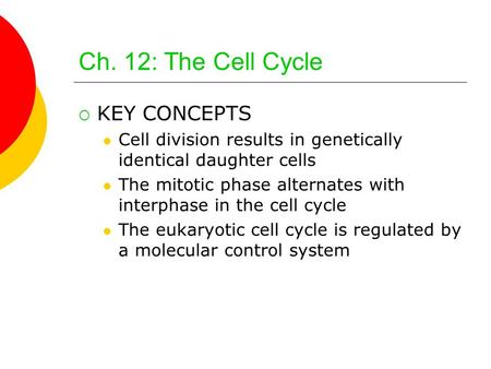 Ch. 12: The Cell Cycle  KEY CONCEPTS Cell division results in genetically identical daughter cells The mitotic phase alternates with interphase in the.