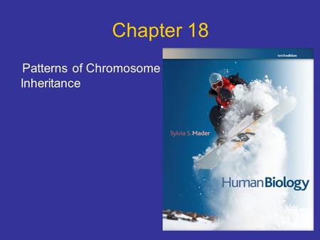 Chapter 18 Patterns of Chromosome Inheritance. Points to Ponder What is the structure of chromosomes? What is the cell cycle and what occurs during each.