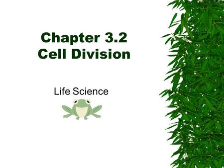 Chapter 3.2 Cell Division Life Science. What causes organisms to grow??  Many organisms start as one cell…what happens to these cells? –Cells divide!!