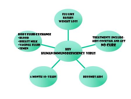 HIV Human Immunodeficiency Virus Flu Like Rashes Weight Loss Treatments include- AIDS Cocktail and AZT NO CURE Becomes AIDS 6 month 10+years Body fluid.