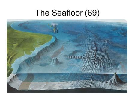The Seafloor (69).