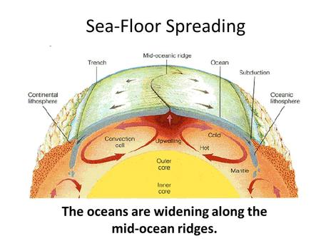 The oceans are widening along the mid-ocean ridges.