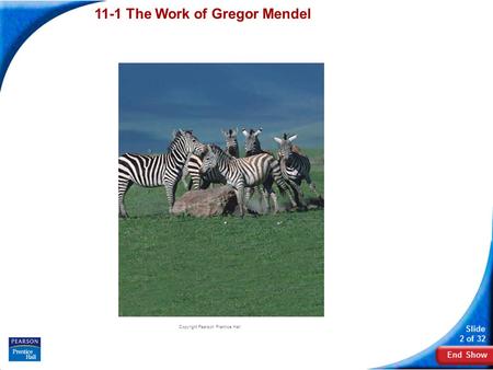 Copyright Pearson Prentice Hall 11-1 The Work of Gregor Mendel.