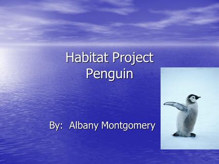 Habitat Project Penguin
