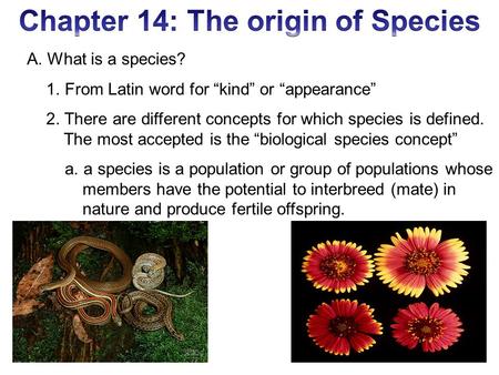 Chapter 14: The origin of Species