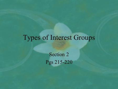 Types of Interest Groups Section 2 Pgs 215-220. An American Tradition Many interest groups have been founded on basis of economic interests such as business,