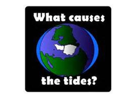 Tides are the periodic rise and fall of the water level in the oceans and other large bodies of water.