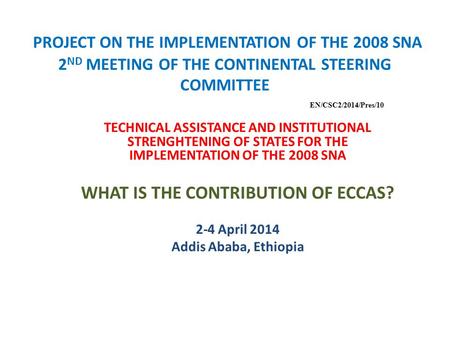PROJECT ON THE IMPLEMENTATION OF THE 2008 SNA 2 ND MEETING OF THE CONTINENTAL STEERING COMMITTEE TECHNICAL ASSISTANCE AND INSTITUTIONAL STRENGHTENING OF.