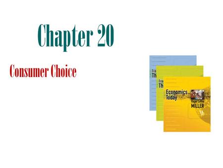 Chapter 20 Consumer Choice.