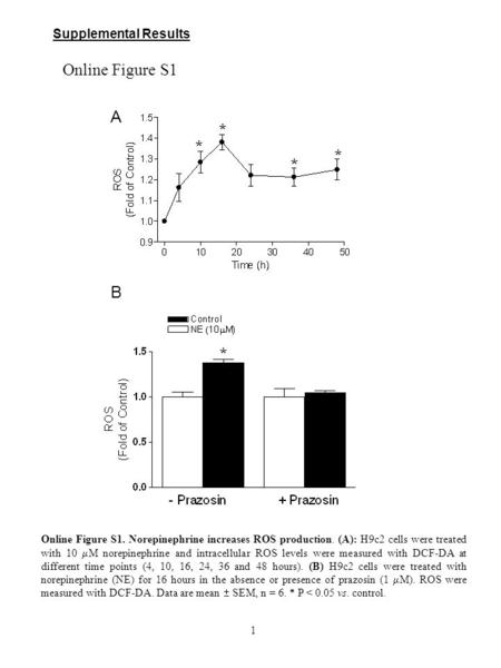 Supplemental Results Online Figure S1. Norepinephrine increases ROS production. (A): H9c2 cells were treated with 10  M norepinephrine and intracellular.