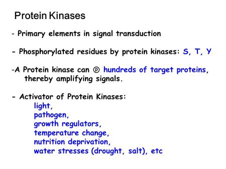 Protein Kinases Primary elements in signal transduction