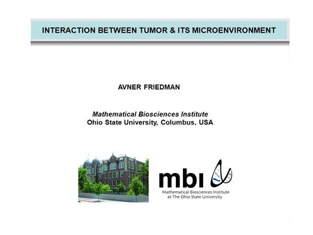 INTERACTION BETWEEN TUMOR & ITS MICROENVIRONMENT AVNER FRIEDMAN Mathematical Biosciences Institute Ohio State University, Columbus, USA.