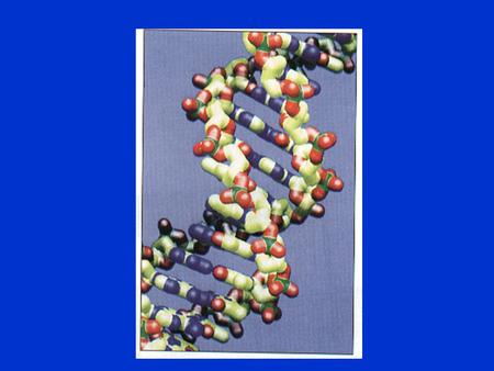 THIS IS DNA Now Start The Let’s 100 200 300 400 500 DNA Scientists ReplicationRNATranscrip- tion Translation Assorted.