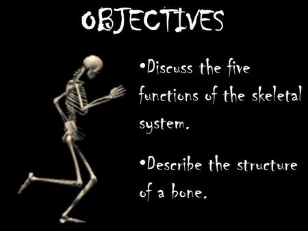 OBJECTIVES Discuss the five functions of the skeletal system. Describe the structure of a bone.