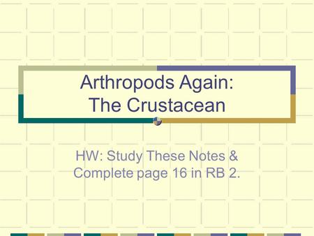 Arthropods Again: The Crustacean HW: Study These Notes & Complete page 16 in RB 2.