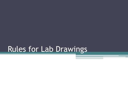 Rules for Lab Drawings. Use white, unlined paper. Always use a pencil and erase all changed work. Never use ink.