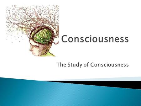 The Study of Consciousness