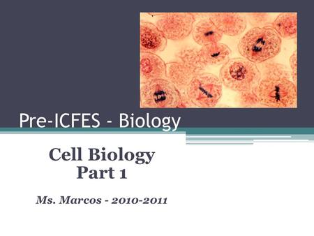 Pre-ICFES - Biology Cell Biology Part 1 Ms. Marcos - 2010-2011.