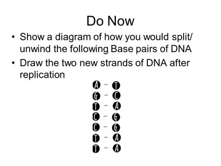 Do Now Show a diagram of how you would split/ unwind the following Base pairs of DNA Draw the two new strands of DNA after replication.