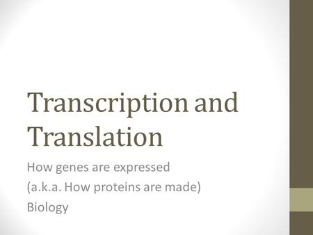 Transcription and Translation How genes are expressed (a.k.a. How proteins are made) Biology.