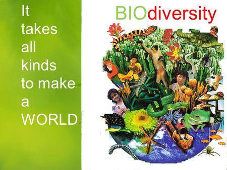 What does biodiversity mean?