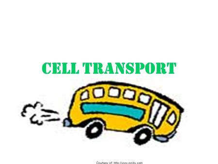 CELL TRANSPORT Courtesy of:
