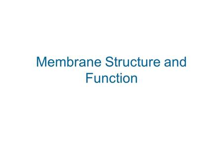 Membrane Structure and Function. What is the Function of The Plasma Membrane? Boundary Must be selectively permeable.