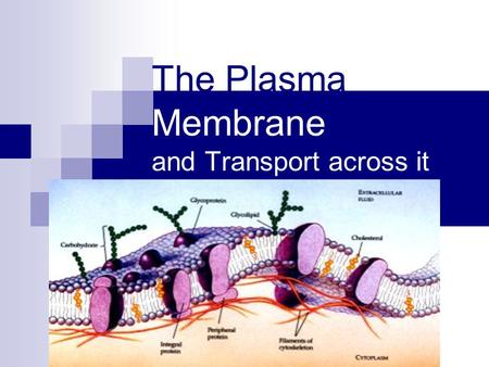 The Plasma Membrane and Transport across it