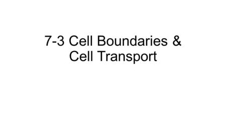 7-3 Cell Boundaries & Cell Transport Copyright Pearson Prentice Hall 7-3 Cell Boundaries All cells are surrounded by a thin, flexible barrier known as.