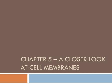 CHAPTER 5 – A CLOSER LOOK AT CELL MEMBRANES. Impacts, Issues: One Bad Transporter and Cystic Fibrosis  Transporter proteins regulate the movement of.
