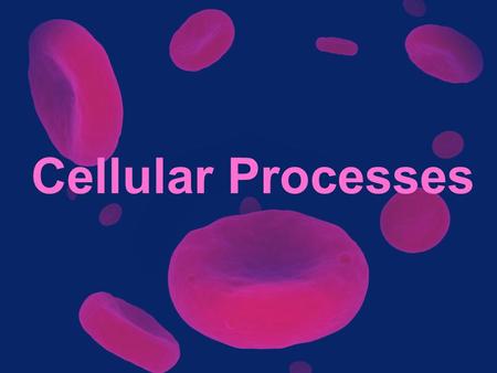 Cellular Processes. Homeostasis The ability or tendency to maintain internal equilibrium. –Maintain – “keep” –Internal – “inside” –Equilibrium – “stable.