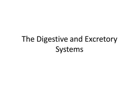 The Digestive and Excretory Systems. The Digestive System The functionof the digestive system is to convert food into simpler substances (molecules) that.