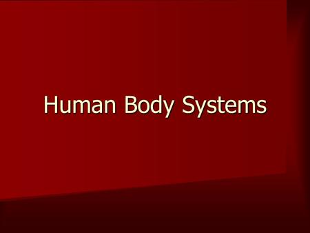 Human Body Systems. 1. Nervous System a. Functions: Coordinates the body’s response to changes in its internal and external conditions Coordinates the.