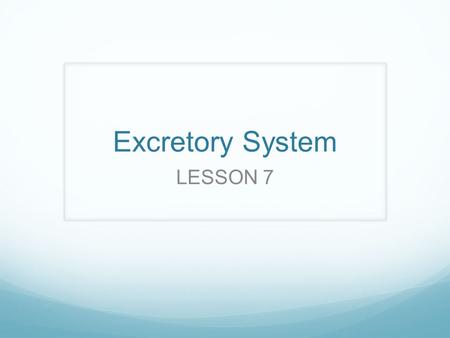 Excretory System LESSON 7.