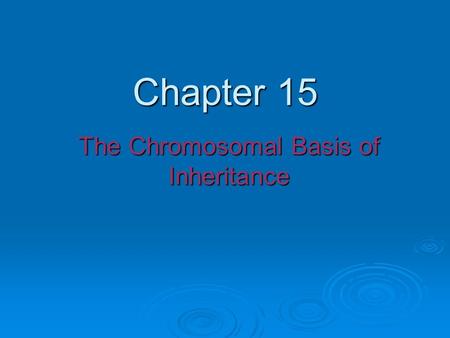 Chapter 15 The Chromosomal Basis of Inheritance. Fig. 15-1 The location of a particular gene can be seen by tagging isolated chromosomes with a fluorescent.