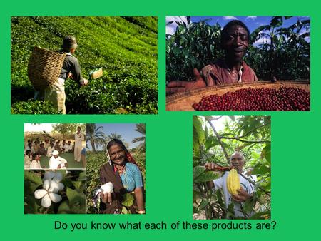Do you know what each of these products are?. Theme B: Contrasts in World Development Part 3: Sustainable solutions to unequal development 1.Appropriate.