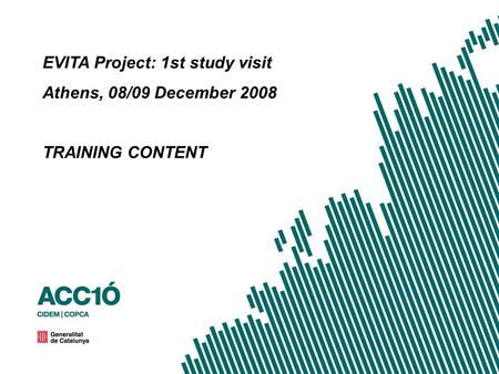 EVITA Project: 1st study visit Athens, 08/09 December 2008 TRAINING CONTENT.