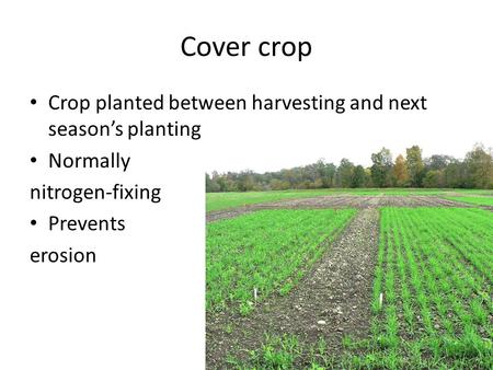 Cover crop Crop planted between harvesting and next season’s planting Normally nitrogen-fixing Prevents erosion.