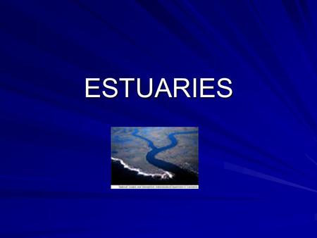 ESTUARIES. What is an estuary? Area where fresh water meets salt water Semi-enclosed Transition zone Includes bays and lagoons.
